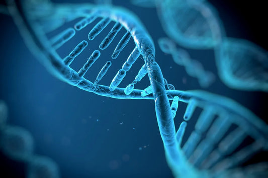 Gene Editing